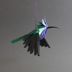 colibri à huppe bleue