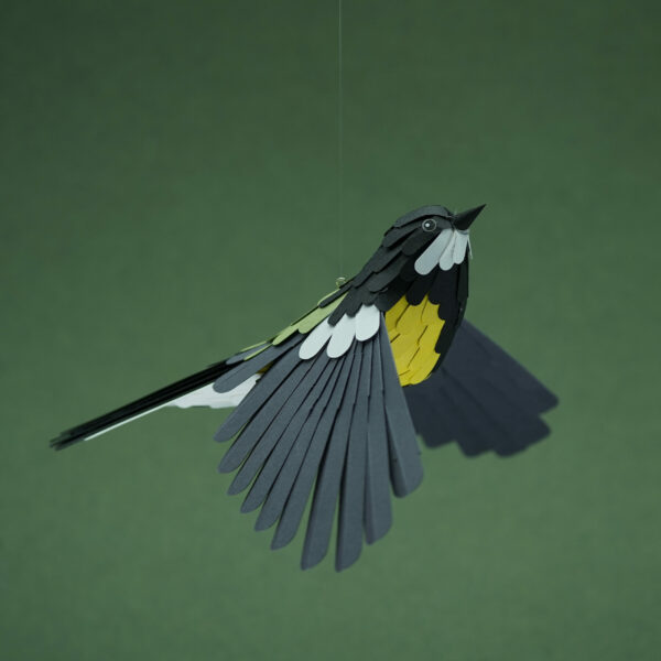 mésange charbonnière – Image 4